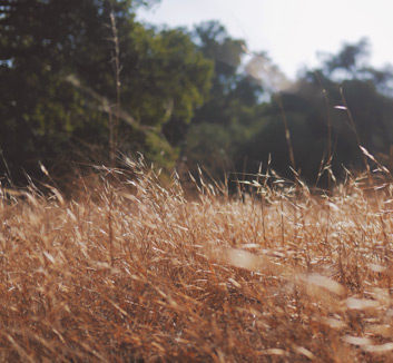 欧锦赛资格赛今晚将见证胜者的诞生